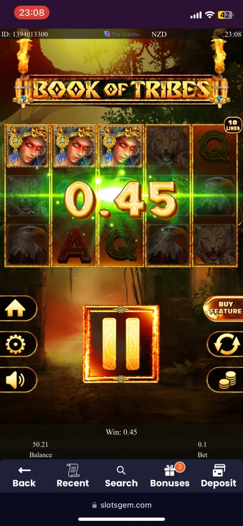 SlotsGem Casino Game