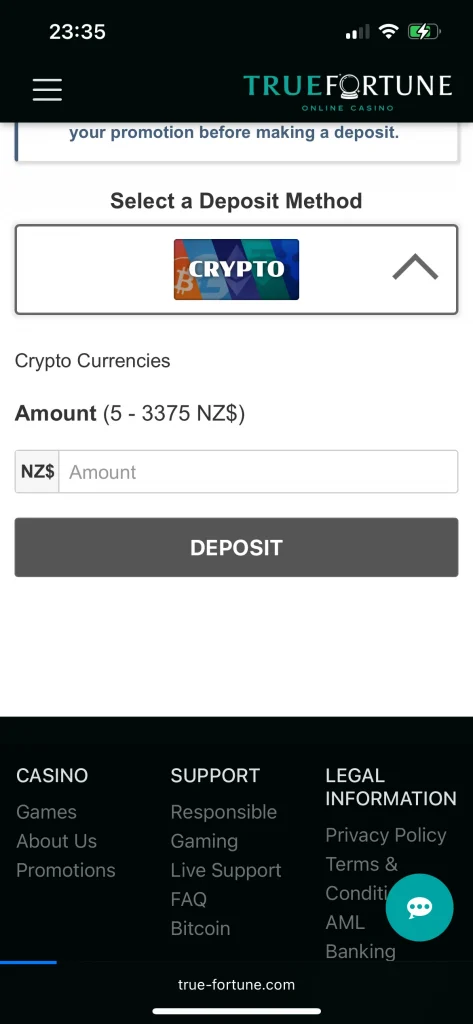 True Fortune Casino Deposit