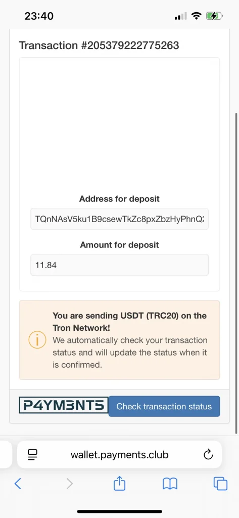 True Fortune Casino Payment