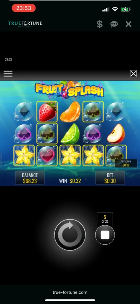 True Fortune Casino Game