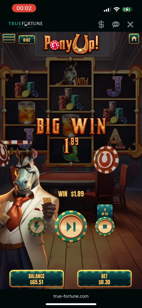 True Fortune Casino Game