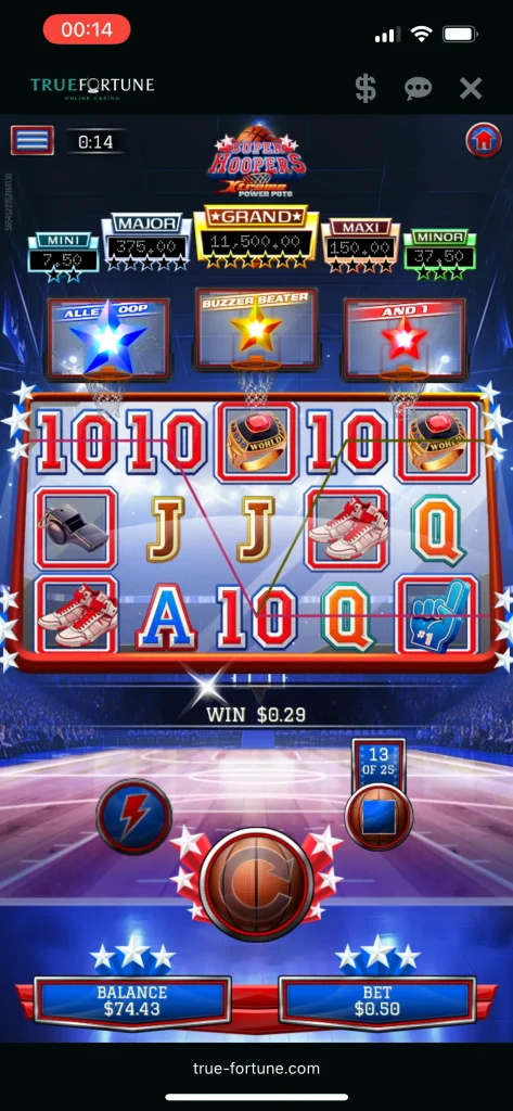 True Fortune Casino Game