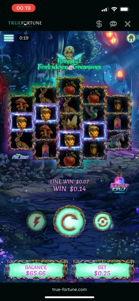 True Fortune Casino Game