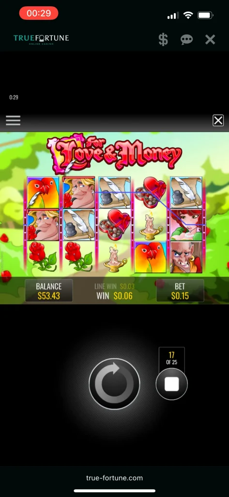 True Fortune Casino Game