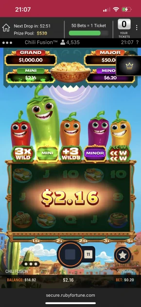 ruby fortune casino game