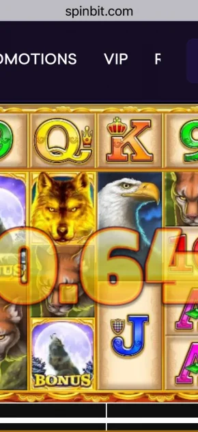 SpinBit Casino Game