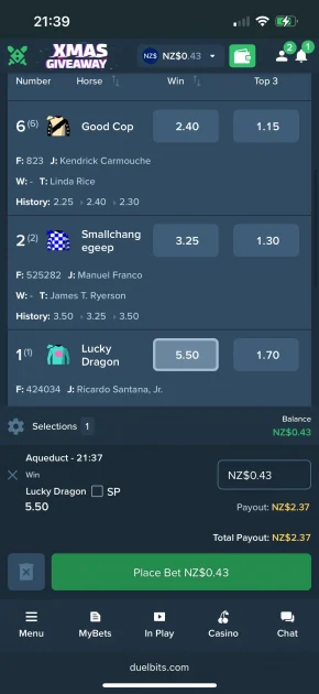 Duelbits Casino Game